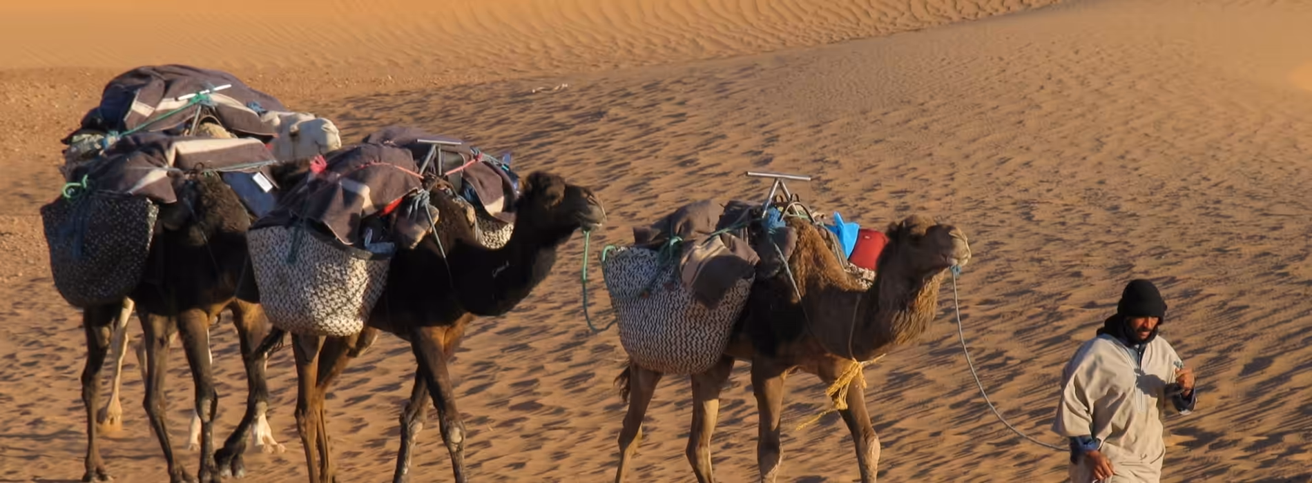 7-Day Epic Sahara Expedition: From Erg Chebbi to Erg Chegaga - Image 3